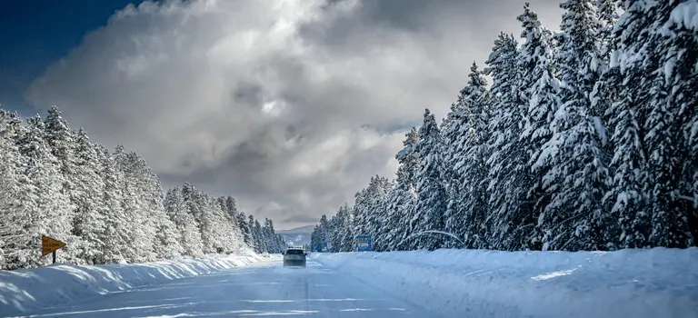 Car driving on a snow-covered road lined with snowy evergreen trees under a cloudy sky